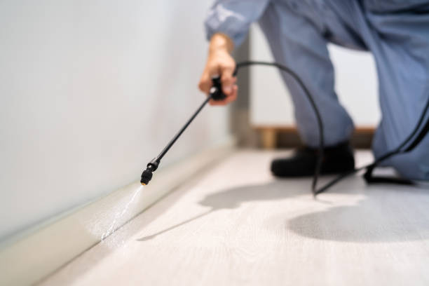 Licensed Fumigation Services service in McQueeney, TX - Nex Pest Control