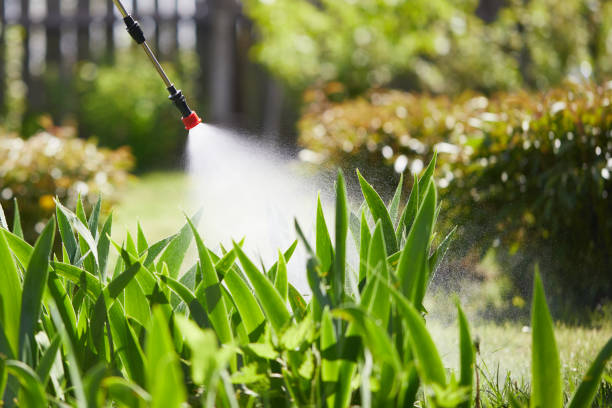 24/7 Emergency Fumigation Services experts in McQueeney, TX