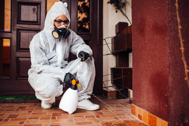 Reliable Fumigation Services contractor in McQueeney, TX by Nex Pest Control