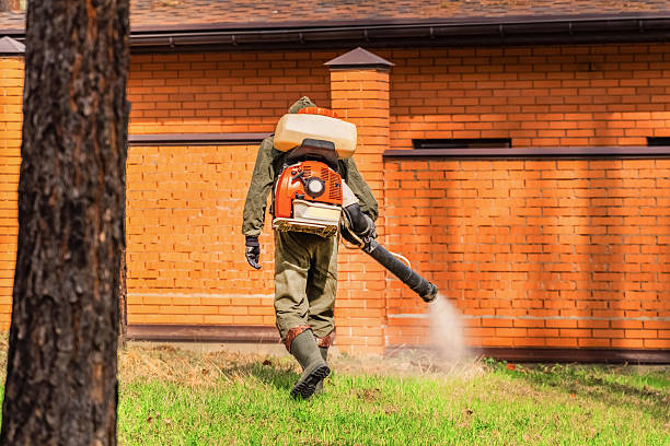 Top rated local Fumigation Services specialists in McQueeney, TX